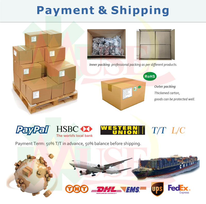 payment and shipping.jpg